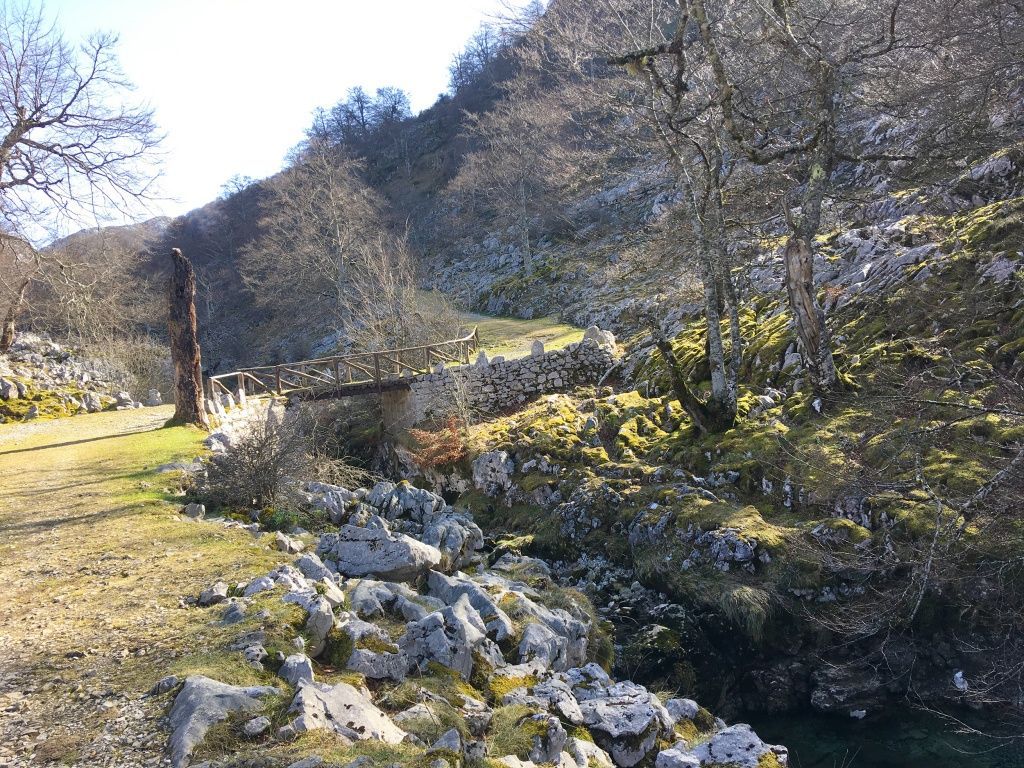 1 IMG 2907 WEB